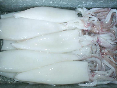 Ηλικιωμένη έμεινε έγκυος από καλαμαράκια!